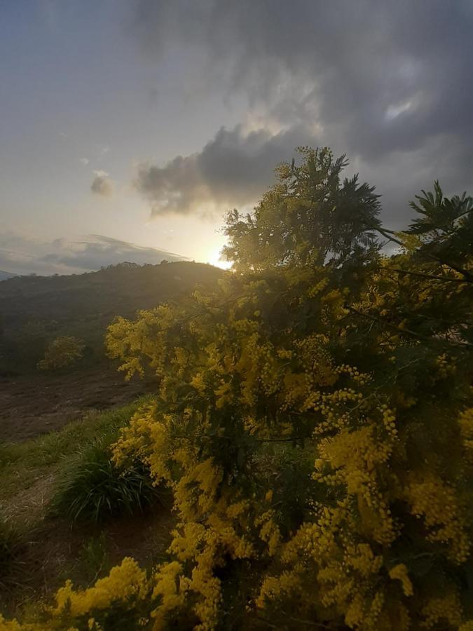 Mandelieu Dans Un Jardin Bb Et Jacuzzi Bed & Breakfast エクステリア 写真