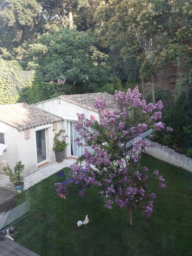 Mandelieu Dans Un Jardin Bb Et Jacuzzi Bed & Breakfast エクステリア 写真